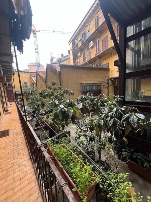 Apartamento Isola La Casa Di Caterina *